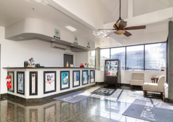 Art Hotel